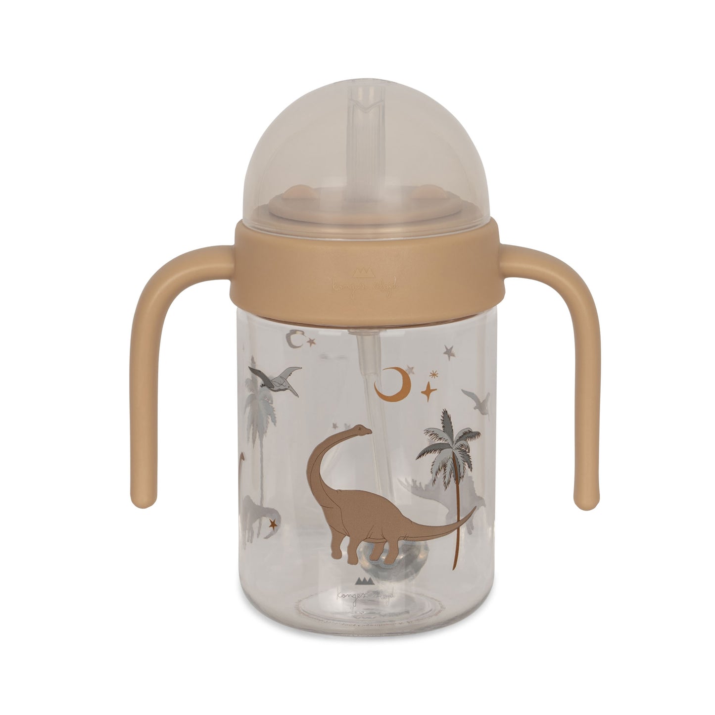 Baby bottle with handle - dino